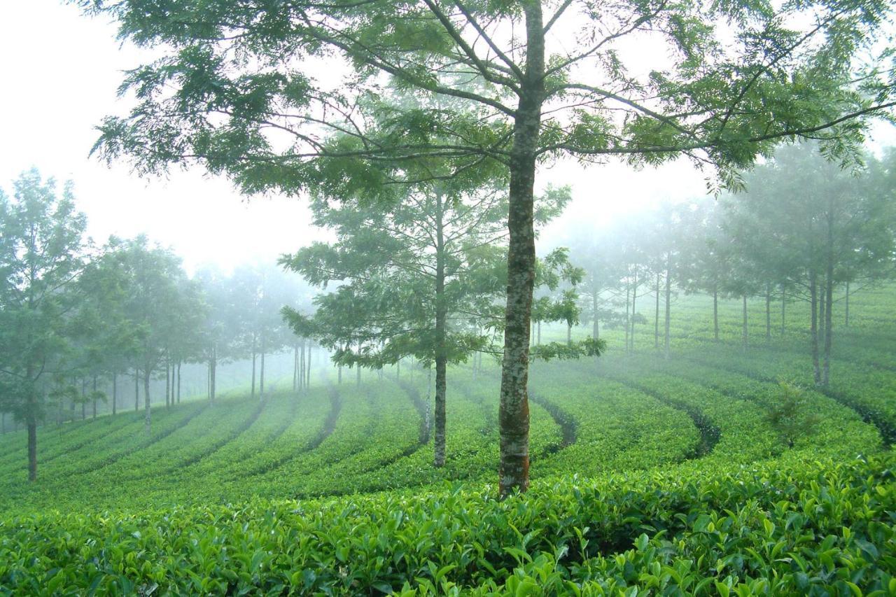 Anachal Mistica Munnar 아파트 외부 사진