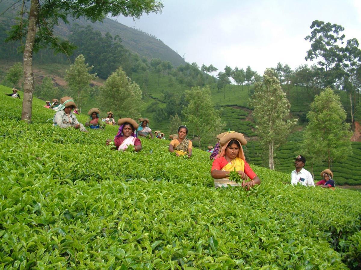 Anachal Mistica Munnar 아파트 외부 사진