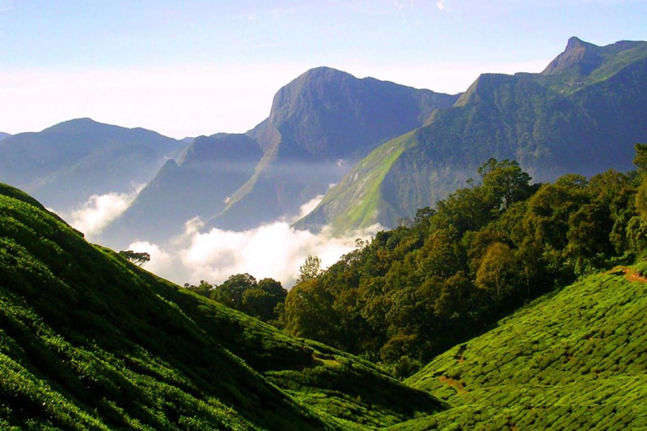 Anachal Mistica Munnar 아파트 외부 사진