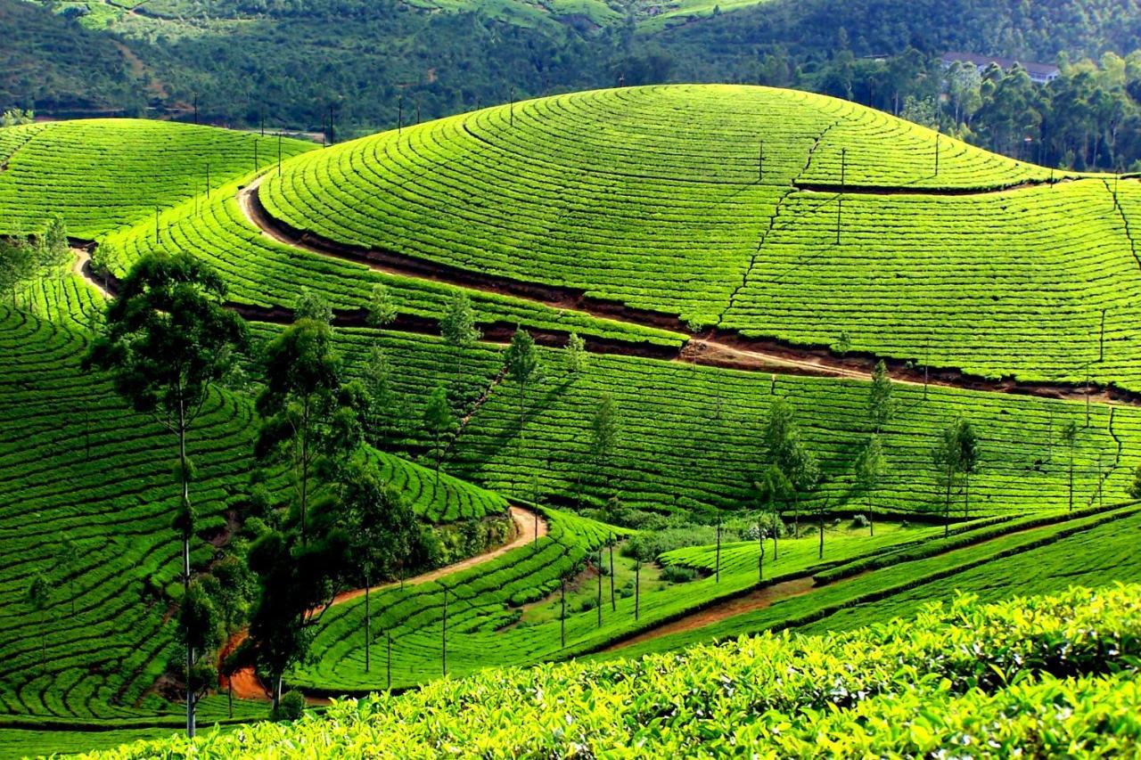 Anachal Mistica Munnar 아파트 외부 사진