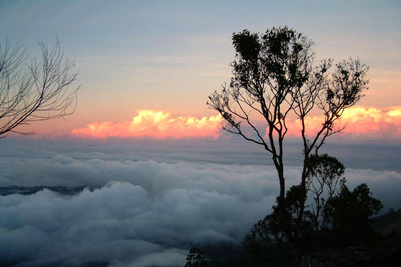 Anachal Mistica Munnar 아파트 외부 사진