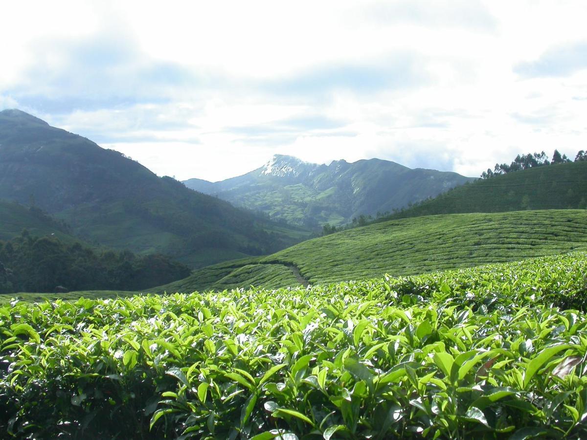 Anachal Mistica Munnar 아파트 외부 사진