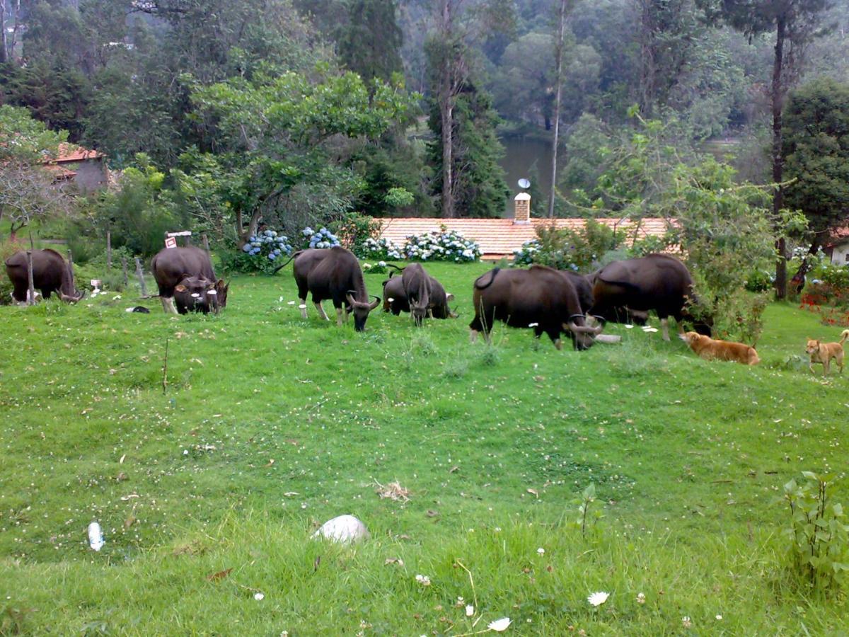 Anachal Mistica Munnar 아파트 외부 사진