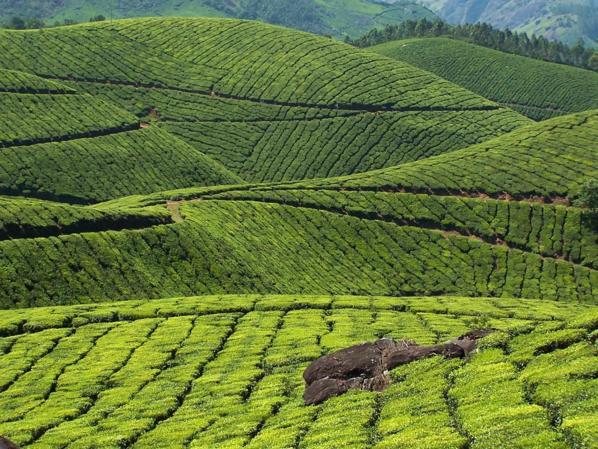Anachal Mistica Munnar 아파트 외부 사진