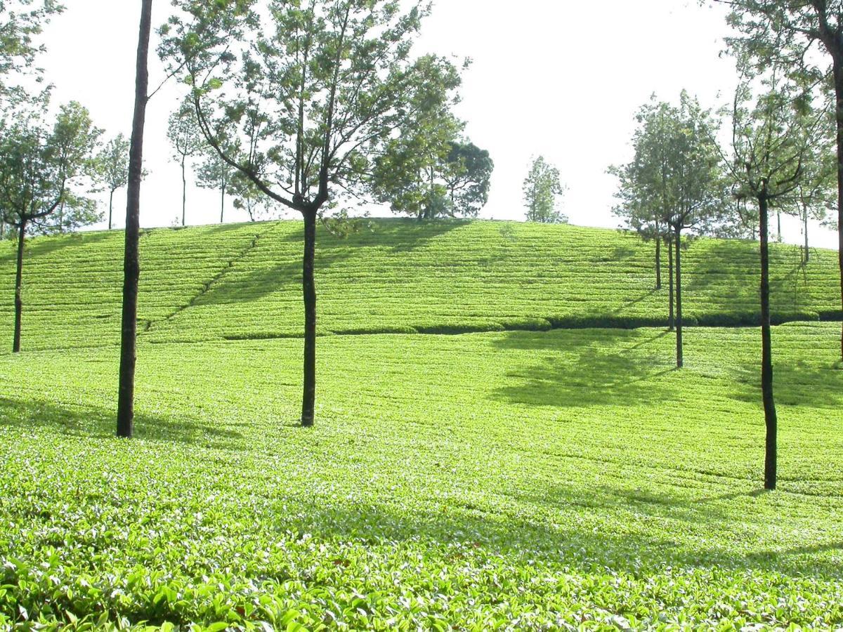 Anachal Mistica Munnar 아파트 외부 사진