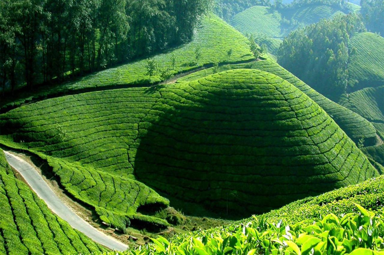 Anachal Mistica Munnar 아파트 외부 사진