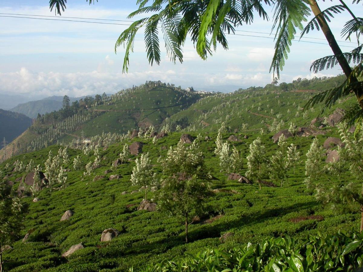 Anachal Mistica Munnar 아파트 외부 사진