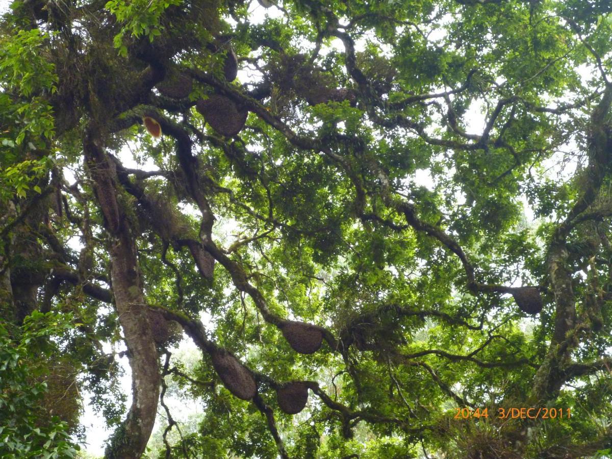 Anachal Mistica Munnar 아파트 외부 사진