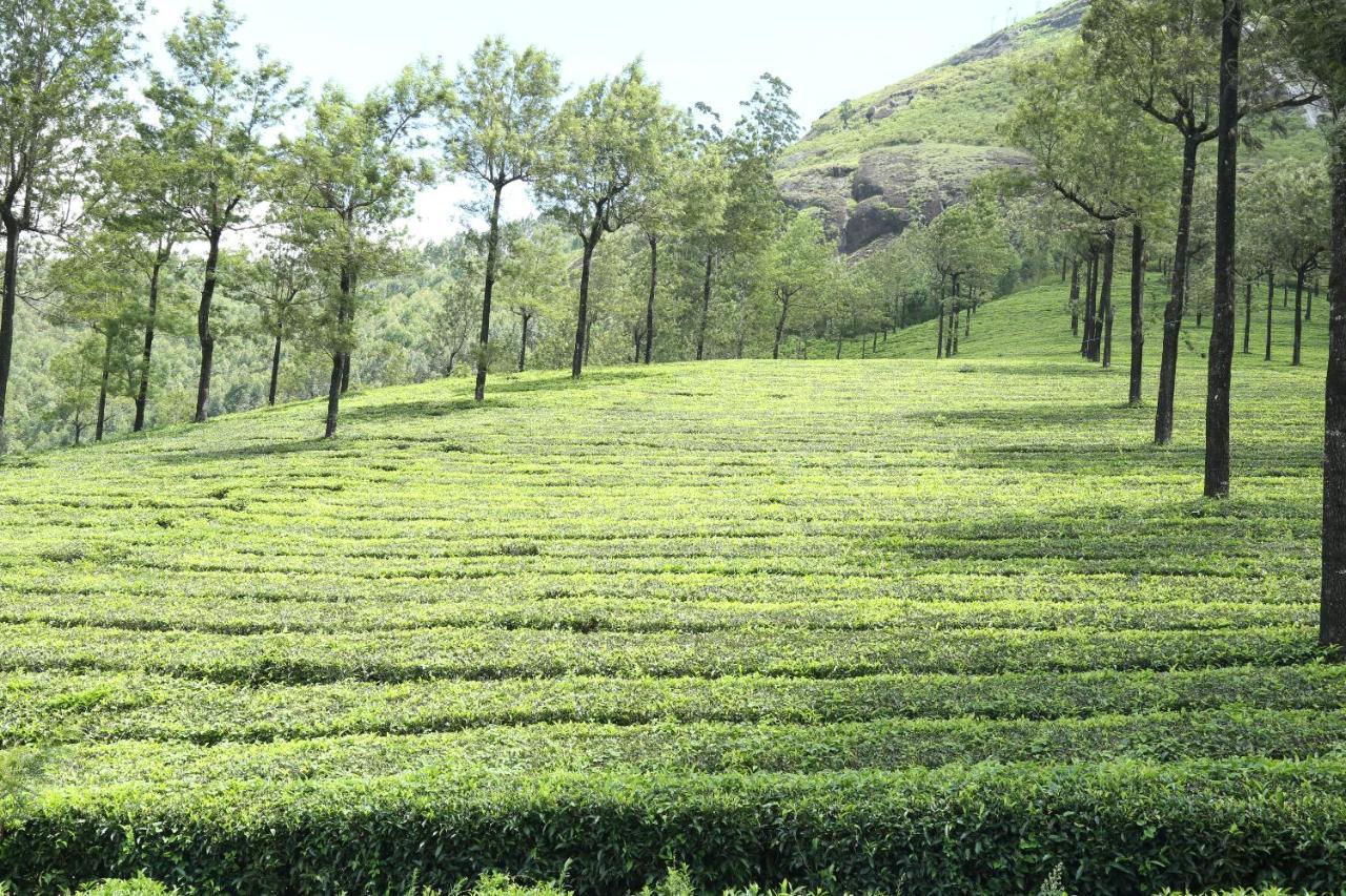 Anachal Mistica Munnar 아파트 외부 사진