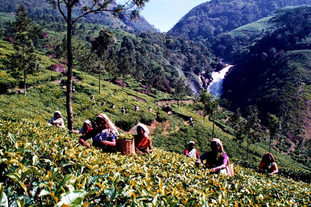 Anachal Mistica Munnar 아파트 외부 사진